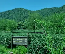 爱游戏页面 -stablediffusion显卡要求