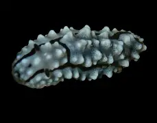 爱游戏链接 -孨譶嚞朤皛惢囍龑歮恏嫑炛奣兲氼勥